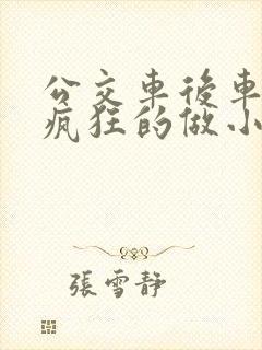 公交车后车座的疯狂的做小