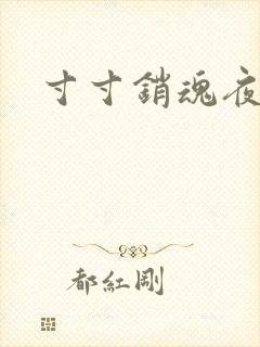 寸寸销魂夜春光