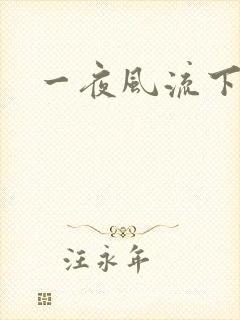 一夜风流下载