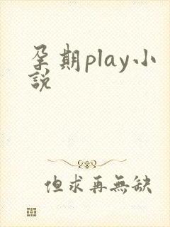 孕期play小说