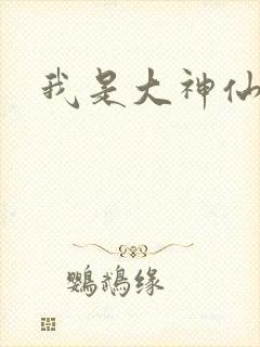 我是大神仙小说封面