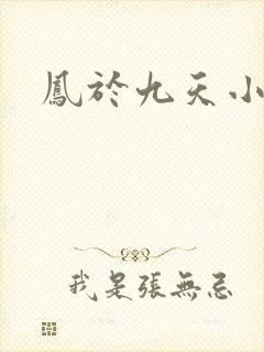 凤于九天小说