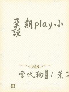 孕期play小说