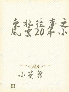 东北往事之黑道风云20年小说