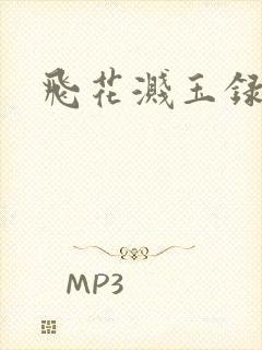 飞花溅玉录