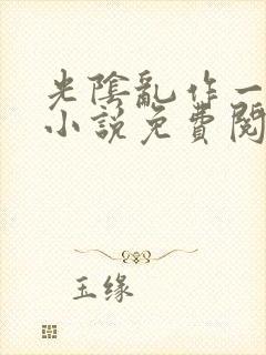 光阴乱作一团的小说免费阅读