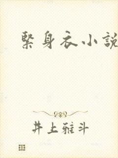 紧身衣小说