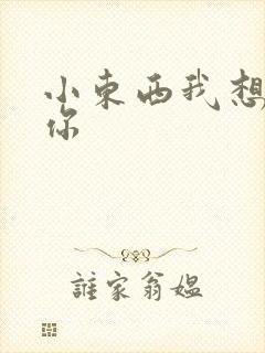 小东西我想弄坏你