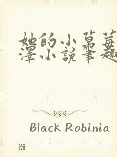 她的小草莓魏承泽小说笔趣阁