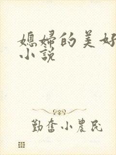 媳妇的美好时代小说