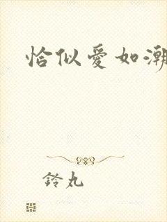 恰似爱如潮封面