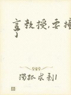 言教授,要撞坏了