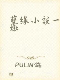 孽缘小说一家乱炖