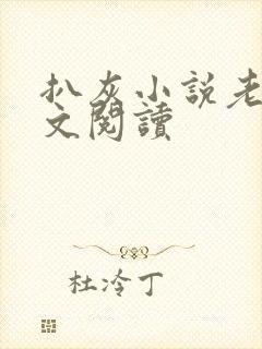 扒灰小说老马全文阅读