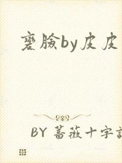 变脸by皮皮虾封面