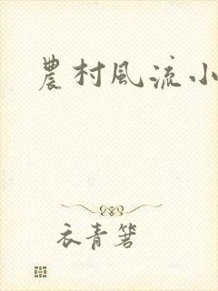 农村风流小说封面