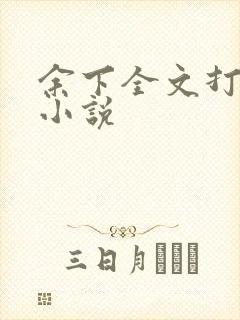 余下全文打不开小说封面