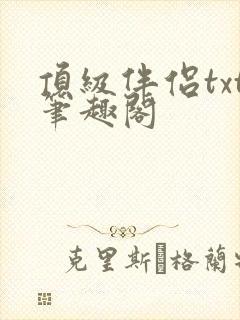 顶级伴侣txt笔趣阁