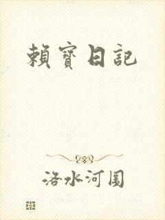 赖宝日记封面