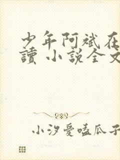 少年阿斌在线阅读 小说全文免费
