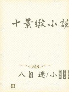 十景缎小说封面