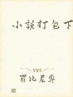 小说打包下载