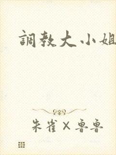 调教大小姐