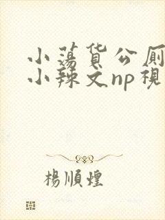 小荡货公厕h文小辣文np视频