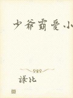 少爷霸爱小丫头封面