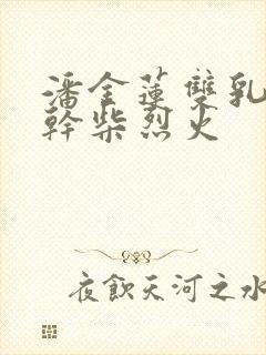 潘金莲双乳晃动干柴烈火