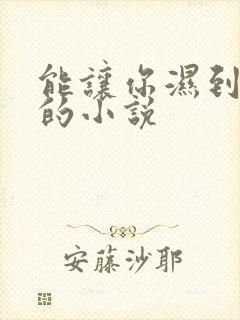 能让你湿到不行的小说