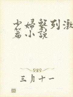 少妇系列激情短篇小说