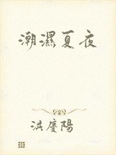 潮湿夏夜封面