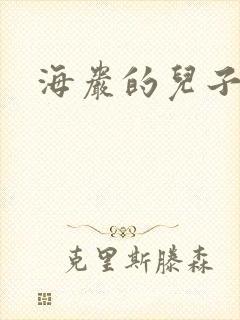海岩的儿子