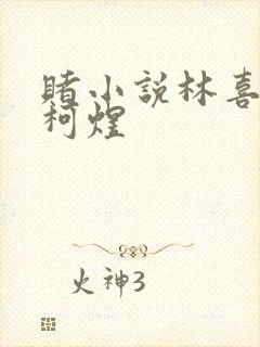 赌小说林喜朝和柯煜封面