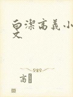 白洁高义小说全文