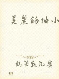 美丽的他小说封面