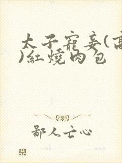 太子宠妾(高肉)红烧肉包封面