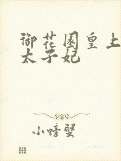 御花园皇上撞着太子妃