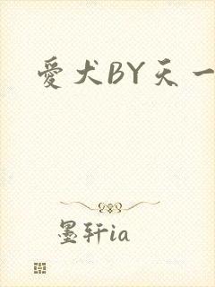 爱犬BY天一