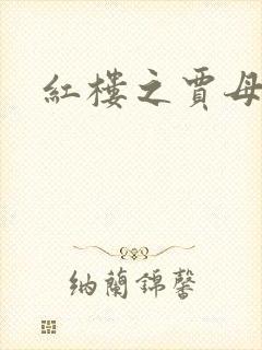 红楼之贾母封面