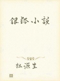 银狐小说封面