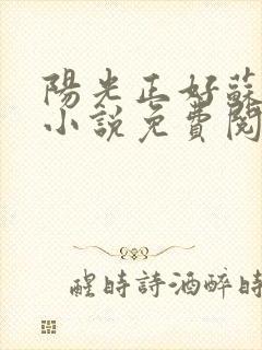 阳光正好苏玥玥小说免费阅读