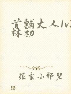 首辅大人1v2林初