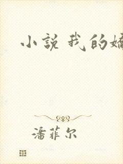 小说 我的娇妻