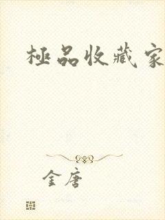 极品收藏家封面