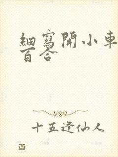 细写开小车车的百合封面