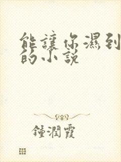 能让你湿到不行的小说