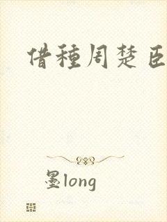 借种周楚臣封面