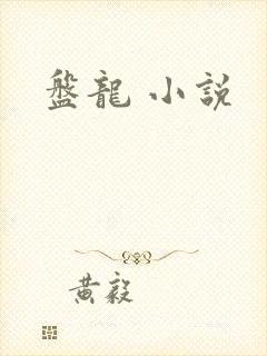 盘龙 小说